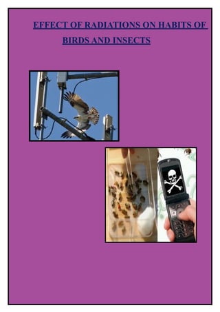 EFFECT OF RADIATIONS ON HABITS OF
BIRDS AND INSECTS
 