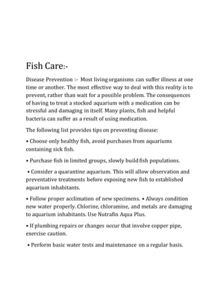 Curated visual reference: Picture Idea: Aquarium