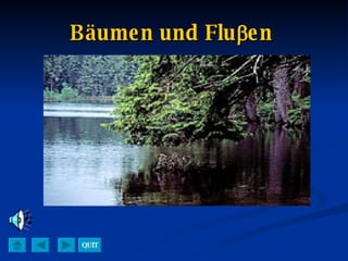 Bäumen und Flu  en   QUIT 
