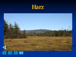 Harz QUIT 
