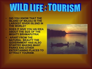 DID YOU KNOW THAT THE ISLAND OF MAJULI IS THE LARGEST RIVER ISLSND IN THE WORLD? DOES IT GIVE YOU AN IDEA ABOUT THE SIZE OF THE MIGHTY BRHMAPUTRA! APART FROM THE NATURAL  BEAUTY THE GOVERNMENT HAS ALSO STARTED MAKING MANY PARKS AND OTHER ENTERTAINING PLACES TO ATTRACT TOURISM.  WILD LIFE : TOURISM 
