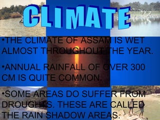 C L I M A T E  THE CLIMATE OF ASSAM IS WET ALMOST THROUGHOUT THE YEAR. ANNUAL RAINFALL OF OVER 300 CM IS QUITE COMMON. SOME AREAS DO SUFFER FROM DROUGHTS. THESE ARE CALLED THE RAIN SHADOW AREAS. 
