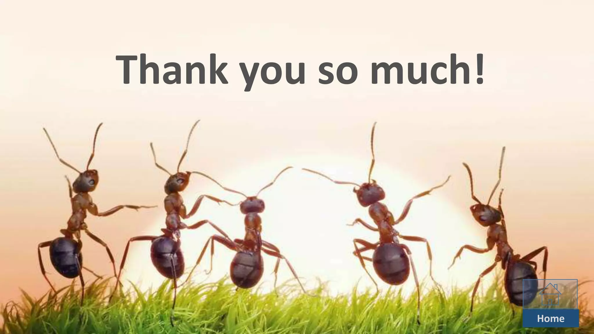 Thank you so much!
Home
 