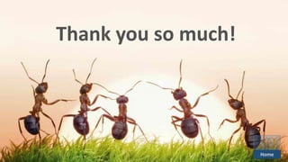 Thank you so much!
Home
 