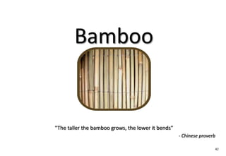 Bamboo


“The taller the bamboo grows, the lower it bends”
                                                    - Chinese proverb

                                                                    42
 