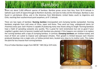 Bamboo
There are about 1,450 different species of bamboo. Bamboo grows across East Asia, from 50 N latitude in
Sakhalin (just north of Japan) through to Northern Australia, and west to India and the Himalayas. Bamboo is also
found in sub-Saharan Africa, and in the Americas from Mid-Atlantic United States south to Argentina and
Chile, reaching their southernmost point anywhere, at 47 S latitude.

There are two types of bamboo: Running bamboo (monopodial) and clumping bambo (sympodial). Running
bamboos originate from cold areas of China, Japan and Korea. They send out long, underground stems (or
rhizomes) every year. Each rhizome is capable of producing many new shoots along its length. Running bamboos
have a habit of spreading outwards very quickly. This is great for land reclaimation but not so good if your
neighbor's garden starts to become invaded with bamboo you planted. If this happens one solution is to replace
the running bamboo with a type of clumping bamboo. In contrast, Clumping bamboos are shallow-rooted, and
most of them are suited to tropical and subtropical climates. Their growth is limited because each rhizome
produced develops into a single culm, or hollow jointed stem, located very close to its mother culm. This makes
the plant far less invasive than running bamboo

Price of Indian Bamboo ranges from INR 90 ~ INR 150 pr 24 ft stick.




                                                                                                                    43
 