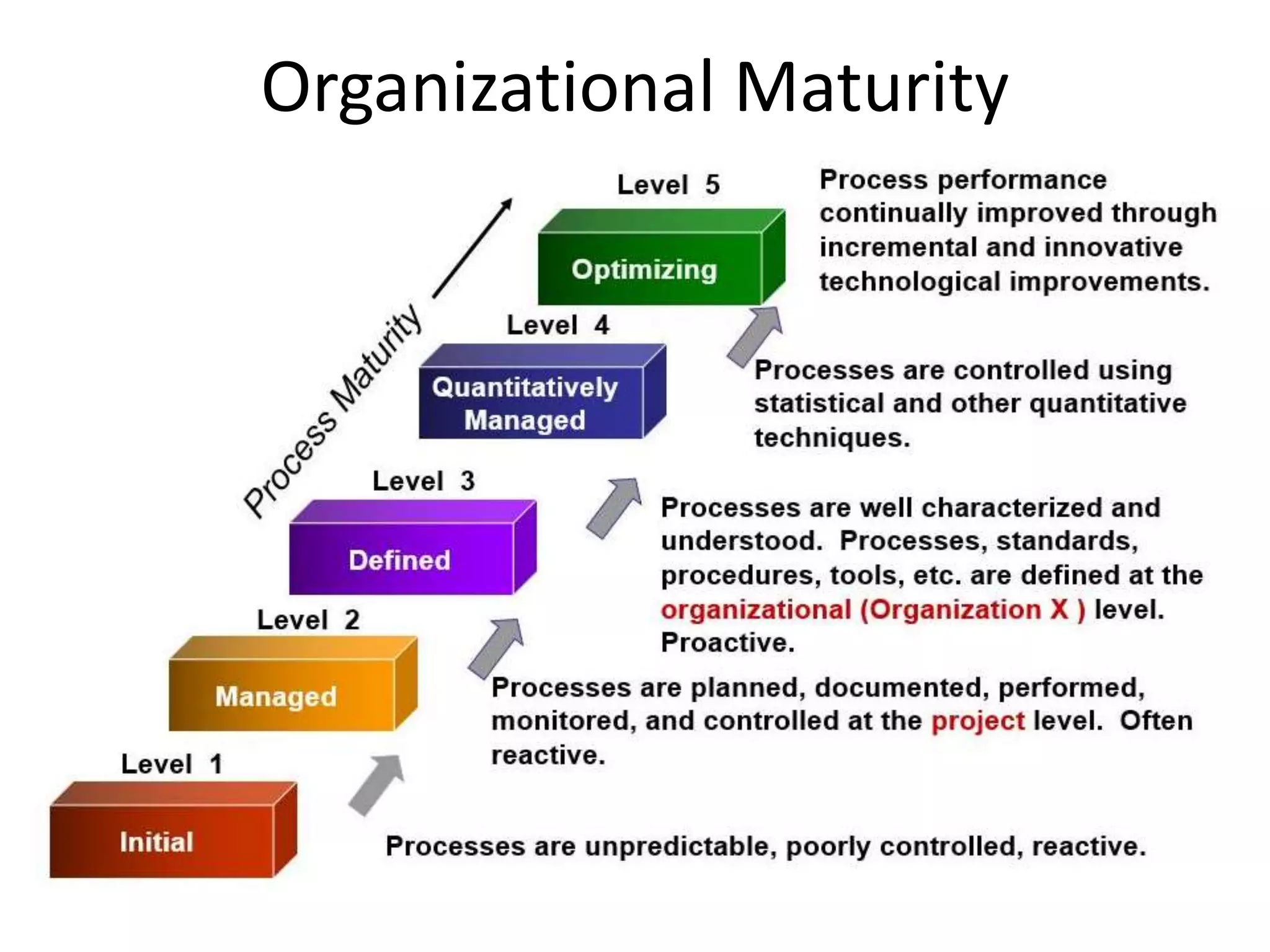 Organizational Maturity
 