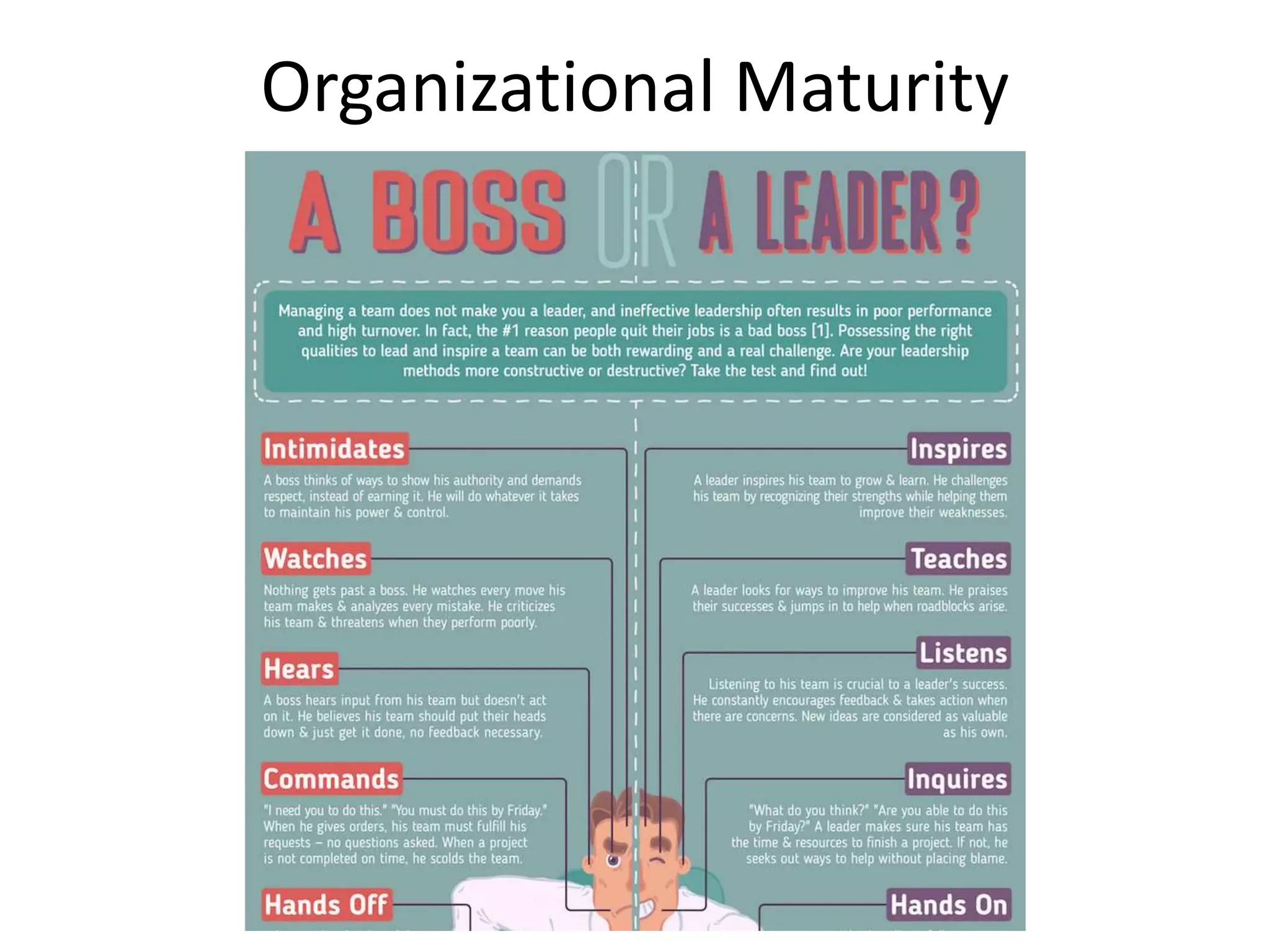 Organizational Maturity
 