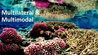 Multilateral &
Multimodal
 