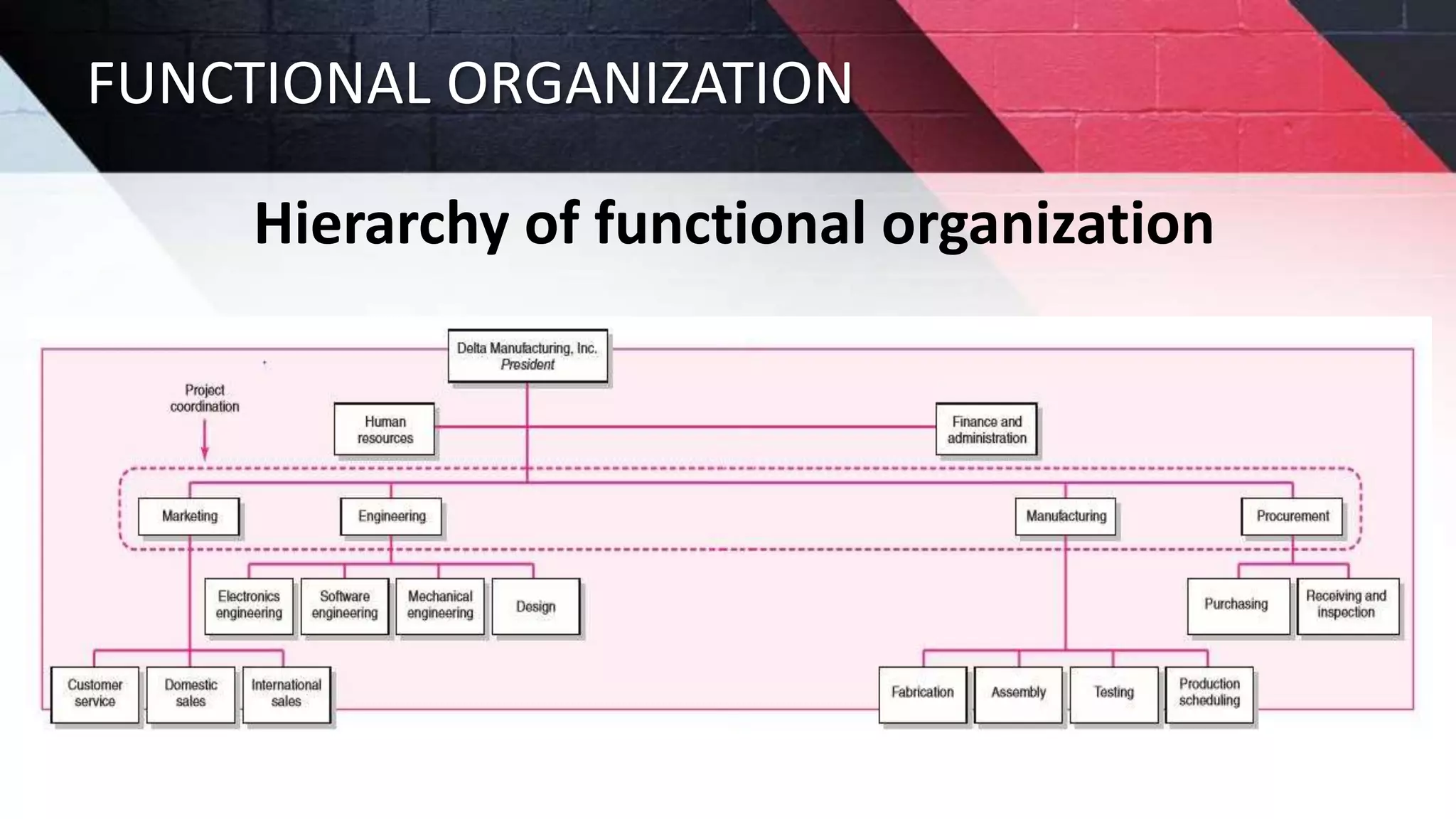 FUNCTIONAL ORGANIZATION
Hierarchy of functional organization
 