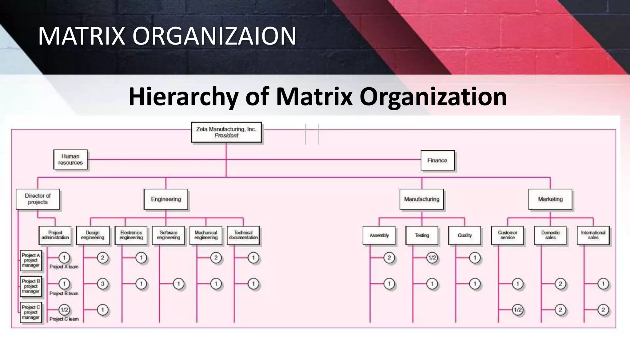 MATRIX ORGANIZAION
Hierarchy of Matrix Organization
 