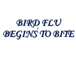 BIRD FLU BEGINS TO BITE 