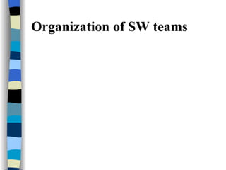 Organization of SW teams 