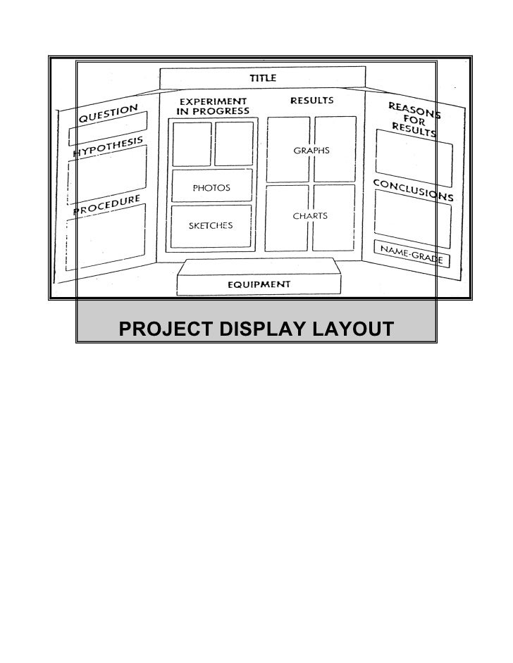 science project layout