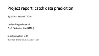 Project report: catch data predicition
By Mrinal Yadav(IITKGP)
Under the guidance of
Prof. Ekaterina Kim(NTNU)
In collaboration with
Bjornar Brende Smestad(NTNU)
 