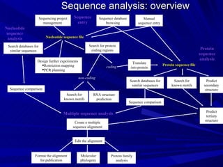 Sequence analysis: overview Nucleotide sequence file Search databases for similar sequences Sequence comparison Multiple sequence analysis Design further experiments Restriction mapping PCR planning Translate into protein Search for known motifs RNA structure prediction non-coding coding Protein sequence analysis Search for protein coding regions Manual sequence entry Sequence database browsing Sequencing project management  Protein sequence file Search databases for similar sequences Sequence comparison Search for known motifs Predict secondary structure Predict tertiary structure Create a multiple sequence alignment Edit the alignment Format the alignment for publication Molecular phylogeny Protein family analysis Nucleotide sequence analysis Sequence entry 
