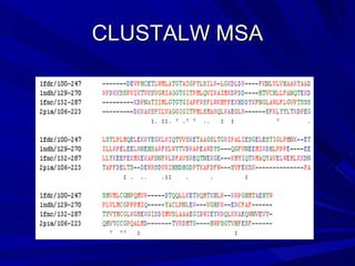 CLUSTALW MSA 