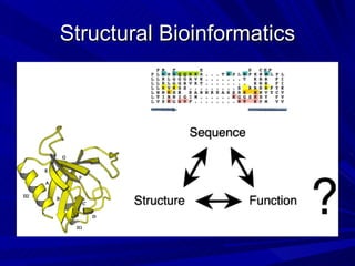 Structural Bioinformatics 