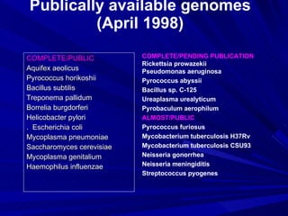 Publically available genomes (April 1998) COMPLETE/PUBLIC Aquifex aeolicus  Pyrococcus horikoshii Bacillus subtilis Treponema pallidum Borrelia burgdorferi Helicobacter pylori .  Escherichia coli Mycoplasma pneumoniae Saccharomyces cerevisiae Mycoplasma genitalium Haemophilus influenzae COMPLETE/PENDING PUBLICATION Rickettsia prowazekii  Pseudomonas aeruginosa Pyrococcus abyssii Bacillus sp. C-125 Ureaplasma urealyticum Pyrobaculum aerophilum ALMOST/PUBLIC Pyrococcus furiosus Mycobacterium tuberculosis H37Rv Mycobacterium tuberculosis CSU93 Neisseria gonorrhea Neisseria meningiditis Streptococcus pyogenes 