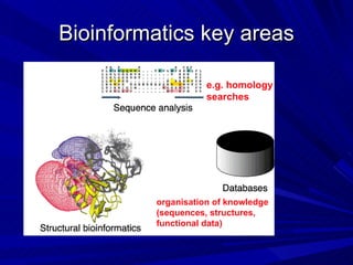 Bioinformatics key areas organisation of knowledge (sequences, structures, functional data) e.g. homology searches 