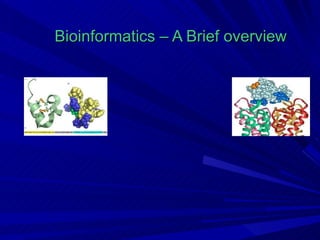 Bioinformatics – A Brief overview 