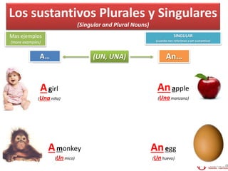 Los sustantivos Plurales y Singulares
(Singular and Plural Nouns)
Mas ejemplos
(more examples)
SINGULAR
(cuando nos referimos a un sustantivo)
A… An…
Agirl
(Unaniña)
Amonkey
(Unmico)
Anapple
(Unamanzana)
Anegg
(Unhuevo)
(UN, UNA)
 