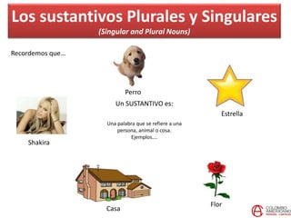 Los sustantivos Plurales y Singulares
(Singular and Plural Nouns)
Recordemos que…
Un SUSTANTIVO es:
Una palabra que se refiere a una
persona, animal o cosa.
Ejemplos….
Shakira
Casa
Flor
Estrella
Perro
 