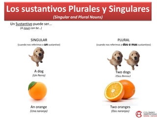 Los sustantivos Plurales y Singulares
(Singular and Plural Nouns)
Un Sustantivo puede ser…
(A noun can be…)
PLURAL
(cuando nos referimos a dos o mas sustantivos)
A dog
(Un Perro)
Two dogs
(Dos Perros)
An orange
(Una naranja)
Two oranges
(Dos naranjas)
SINGULAR
(cuando nos referimos a un sustantivo)
 