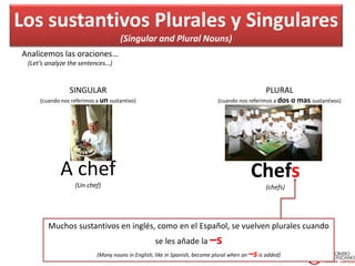 Los sustantivos Plurales y Singulares
(Singular and Plural Nouns)
Analicemos las oraciones…
(Let’s analyze the sentences…)
PLURAL
(cuando nos referimos a dos o mas sustantivos)
A chef
(Un chef)
Chefs
(chefs)
SINGULAR
(cuando nos referimos a un sustantivo)
Muchos sustantivos en inglés, como en el Español, se vuelven plurales cuando
se les añade la –s
(Many nouns in English, like in Spanish, become plural when an –sis added)
 