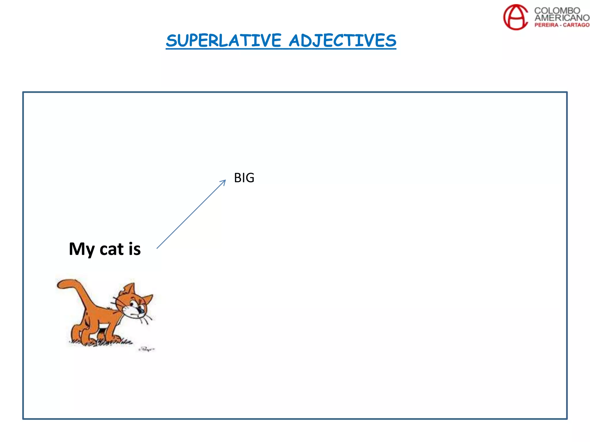 My cat is
BIG
SUPERLATIVE ADJECTIVES
 