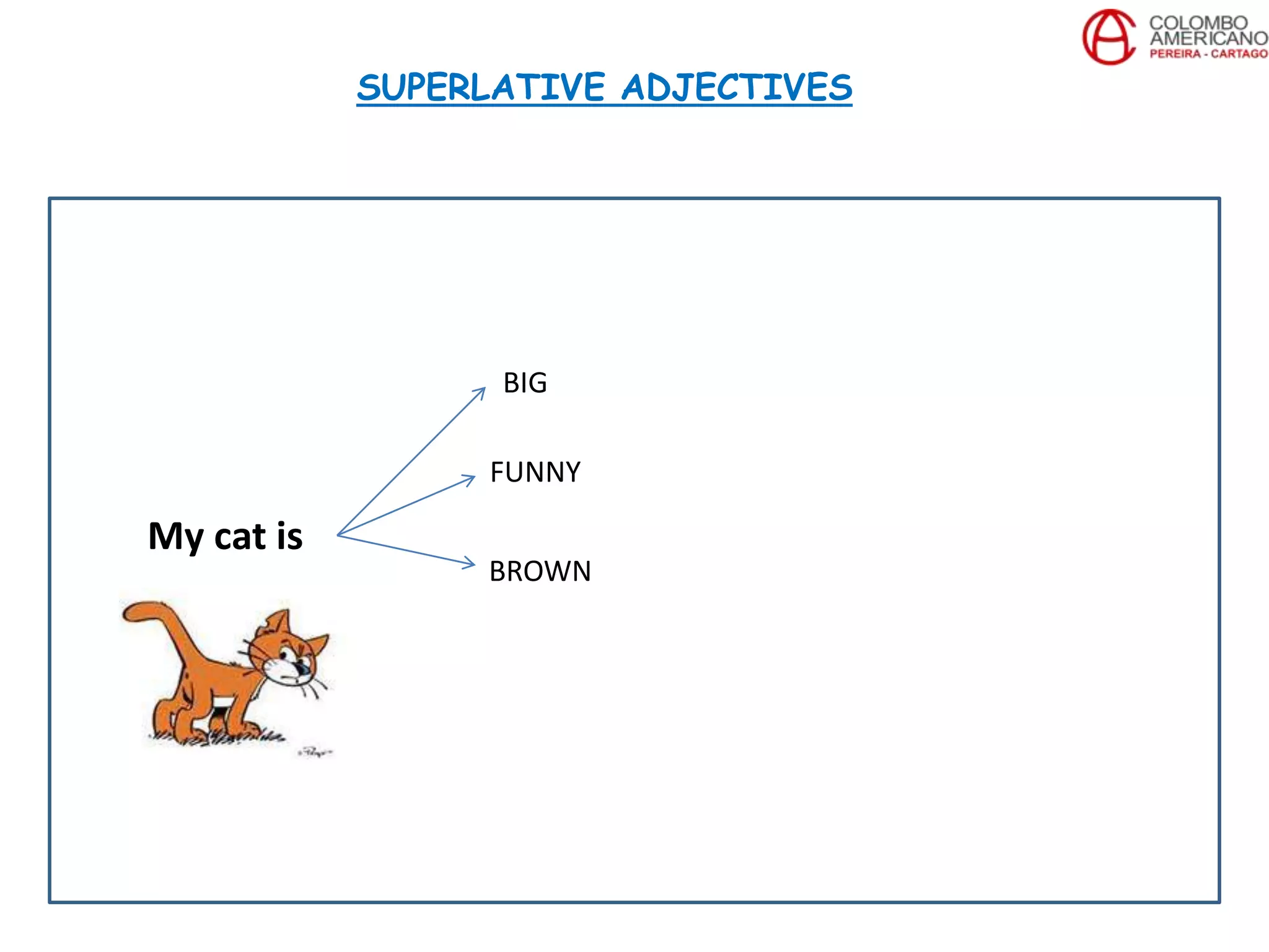 My cat is
BIG
FUNNY
BROWN
SUPERLATIVE ADJECTIVES
 