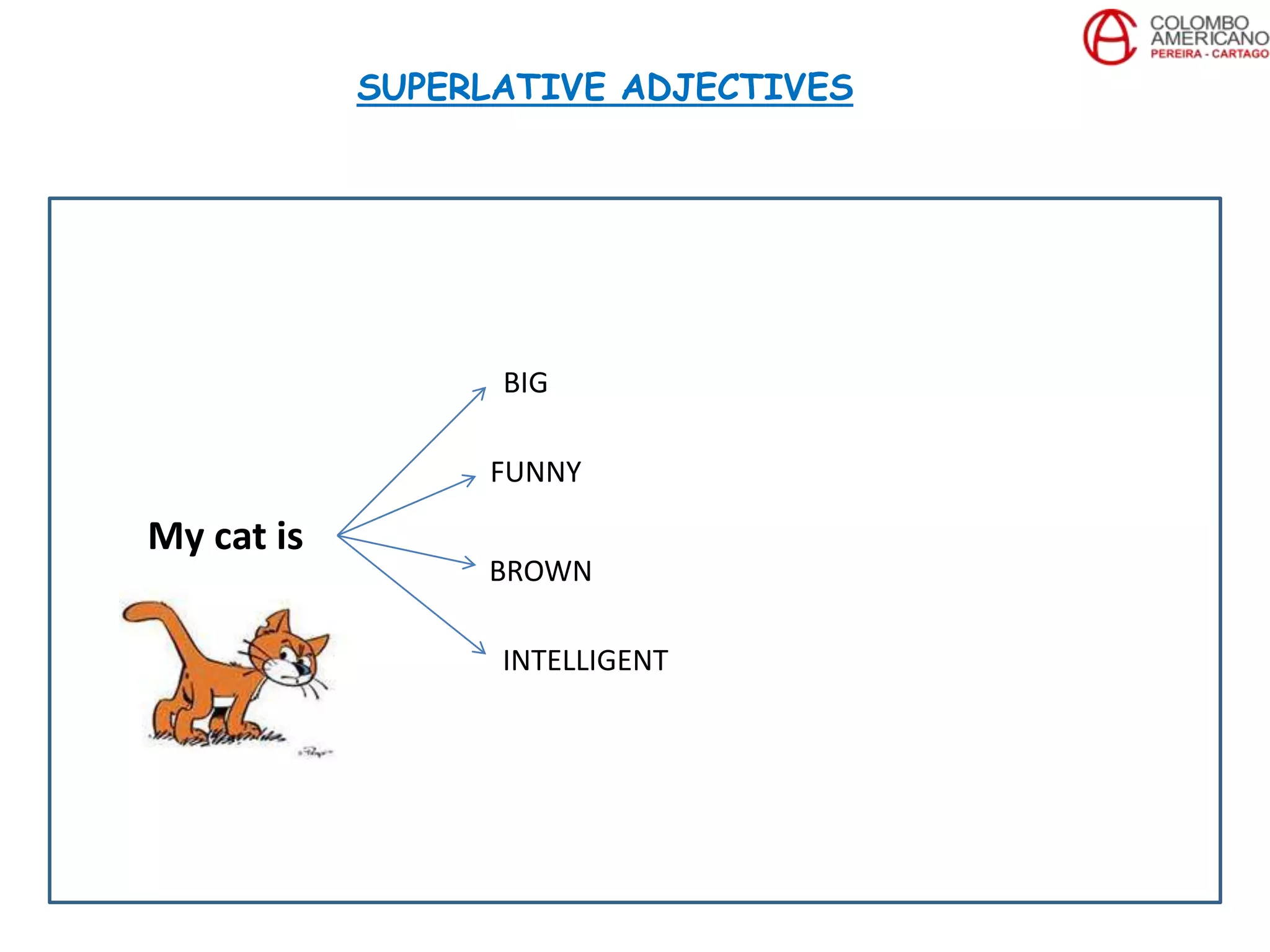 My cat is
BIG
FUNNY
BROWN
INTELLIGENT
SUPERLATIVE ADJECTIVES
 