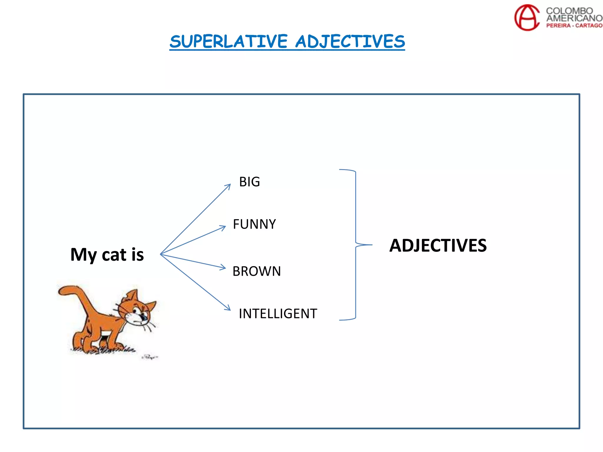 My cat is
BIG
FUNNY
BROWN
INTELLIGENT
ADJECTIVES
SUPERLATIVE ADJECTIVES
 