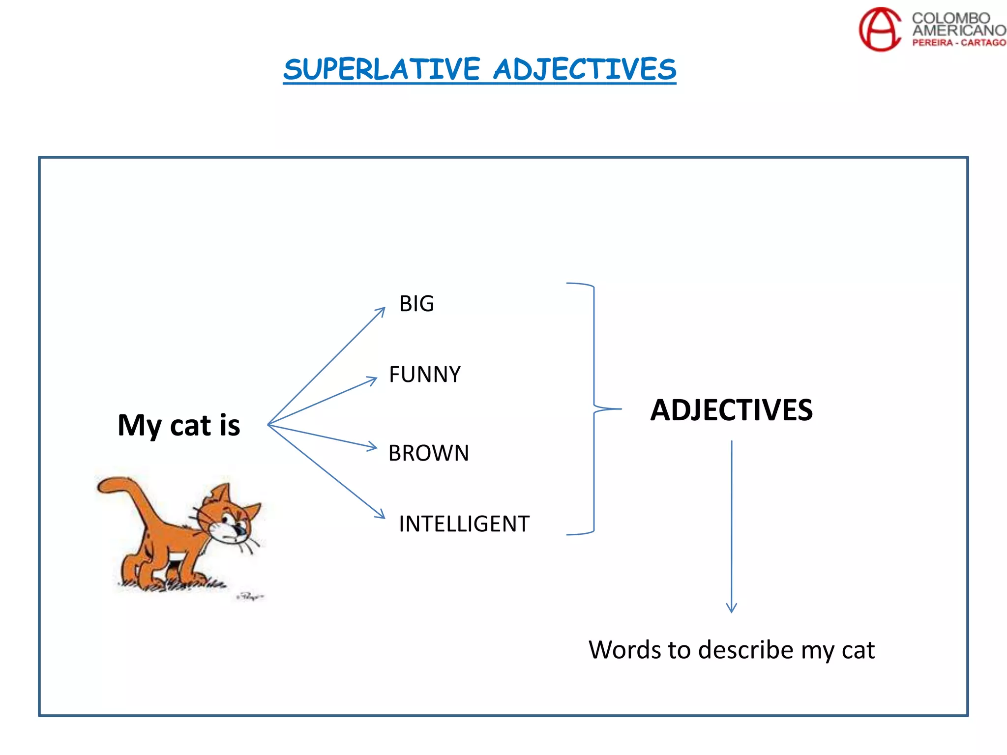 My cat is
BIG
FUNNY
BROWN
INTELLIGENT
ADJECTIVES
Words to describe my cat
SUPERLATIVE ADJECTIVES
 