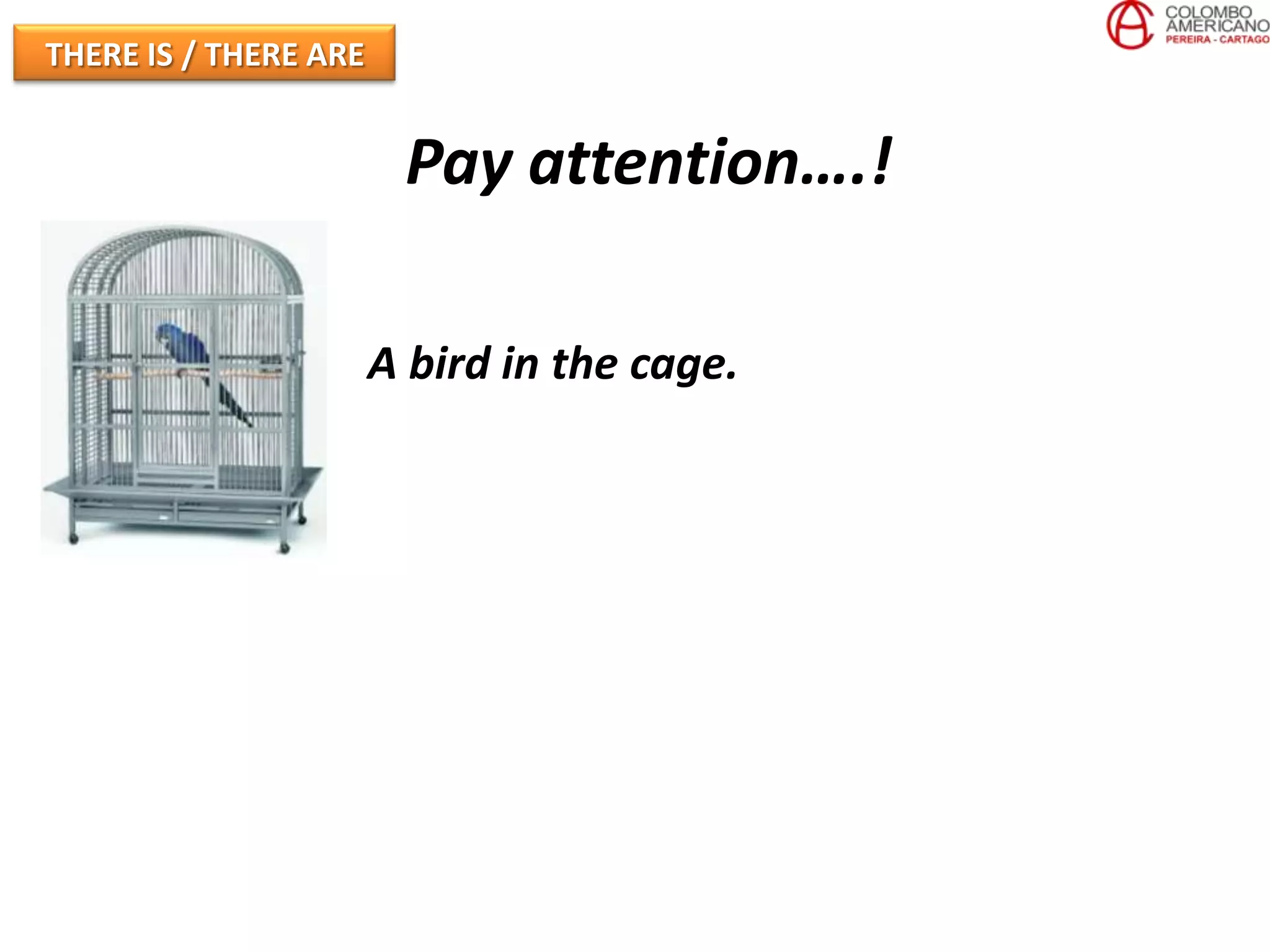 THERE IS / THERE ARE


                        Pay attention….!

                       A bird in the cage.
 