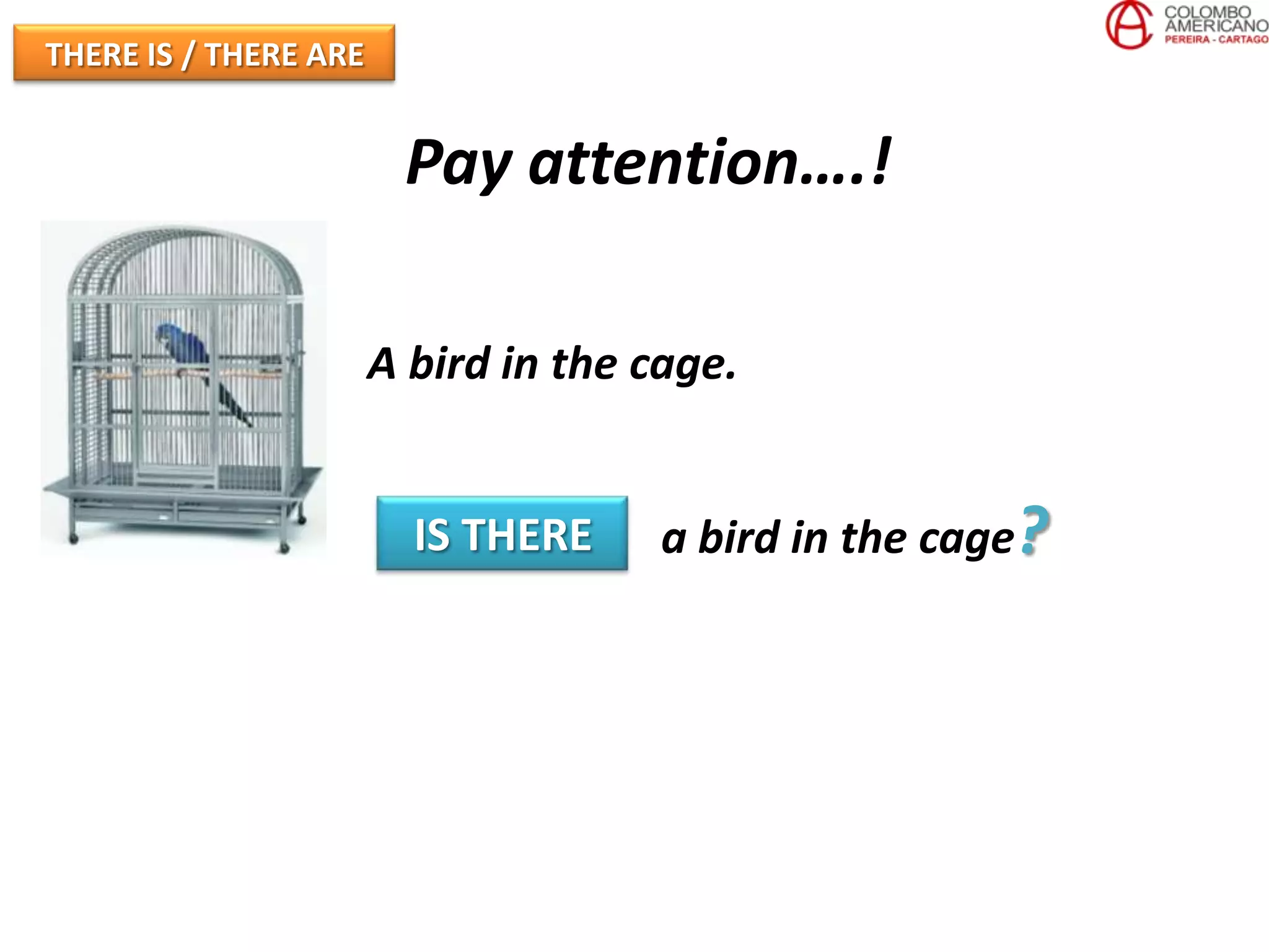 THERE IS / THERE ARE


                        Pay attention….!

                       A bird in the cage.


                         IS THERE     a bird in the cage?
 