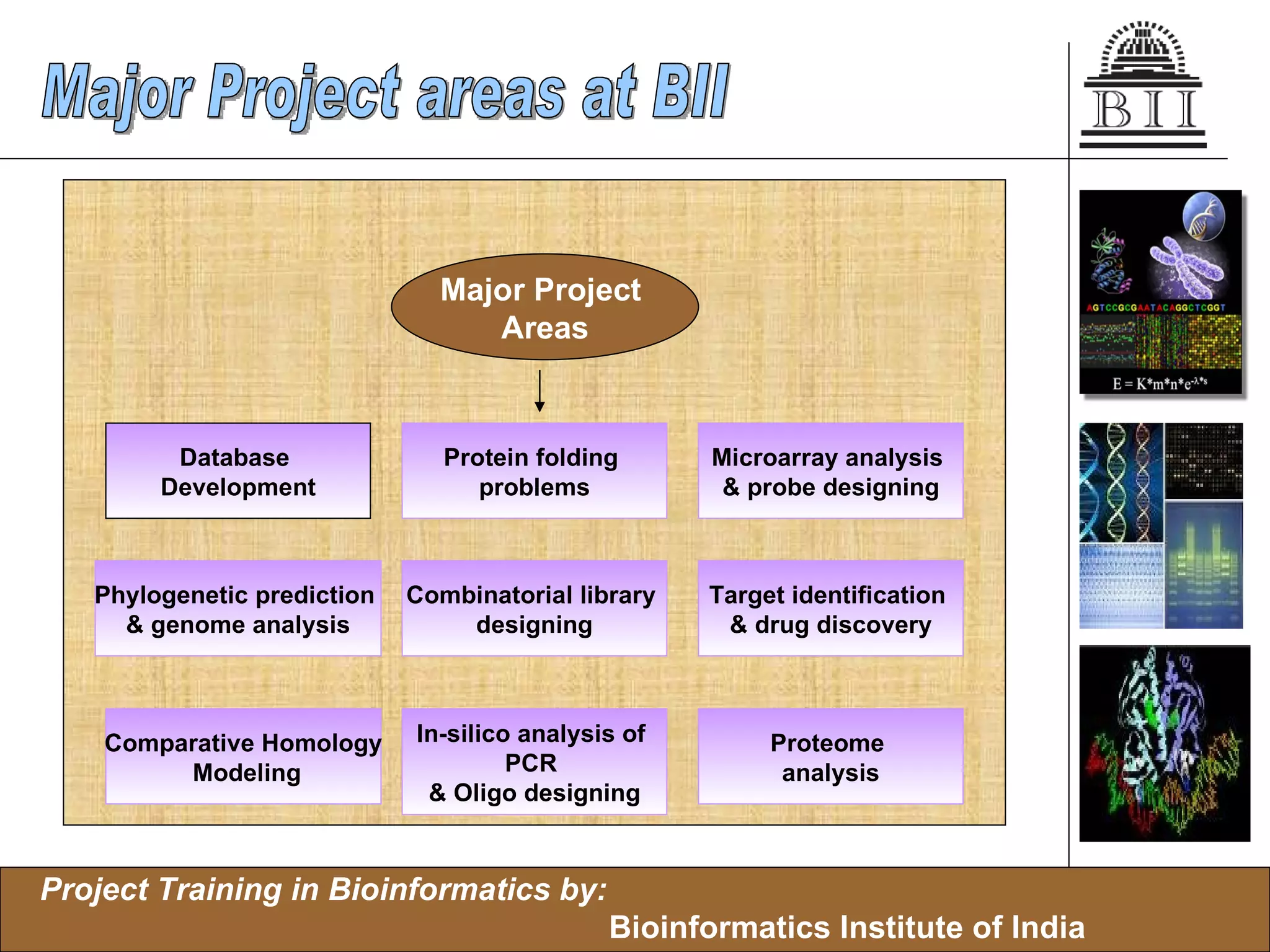 Major Project  Areas Database  Development Phylogenetic prediction  & genome analysis Protein folding  problems Combinatorial library  designing Microarray analysis  & probe designing Target identification  & drug discovery In-silico analysis of  PCR  & Oligo designing Comparative Homology Modeling Proteome  analysis Major Project areas at BII 