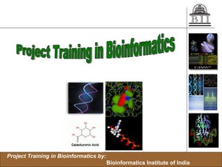 Project Training in Bioinformatics 