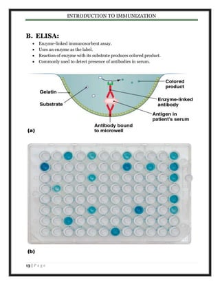INTRODUCTION TO IMMUNIZATION 
B. ELISA: 
 Enzyme-linked immunosorbent assay. 
 Uses an enzyme as the label. 
 Reaction of enzyme with its substrate produces colored product. 
 Commonly used to detect presence of antibodies in serum. 
13 | P a g e 
 