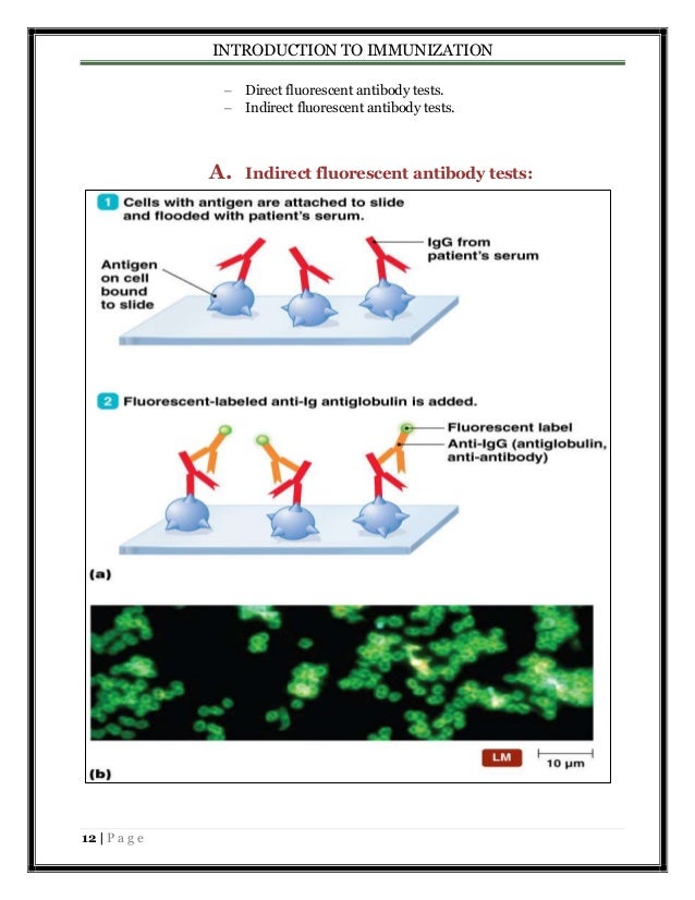 INTRODUCTION TO IMMUNIZATION