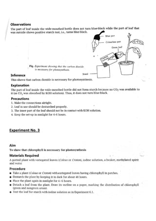 Project-Work-ICSE-Class-X.pdf