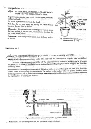 Project-Work-ICSE-Class-X.pdf