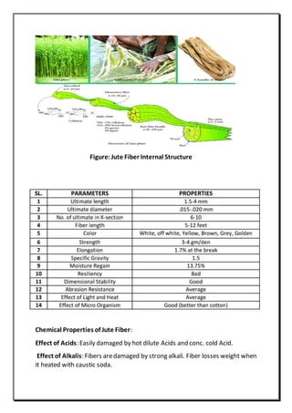 Figure:Jute Fiber Internal Structure
Chemical Properties of Jute Fiber:
Effect of Acids: Easily damaged by hot dilute Acids and conc. cold Acid.
Effect of Alkalis: Fibers aredamaged by strong alkali. Fiber losses weight when
it heated with caustic soda.
 