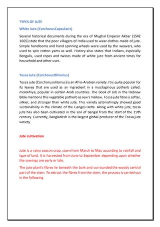 TYPES OF JUTE
White Jute (CorchorusCapsularis)
Several historical documents during the era of Mughal Emperor Akbar (1542
1605) state that the poor villagers of India used to wear clothes made of jute.
Simple handlooms and hand spinning wheels were used by the weavers, who
used to spin cotton yams as well. History also states that Indians, especially
Bengalis, used ropes and twines made of white jute from ancient times for
household and other uses.
Tossa Jute (CorchorusOlitorius)
Tossa jute (Corchorusolitorius) is an Afro-Arabian variety. Itis quite popular for
its leaves that are used as an ingredient in a mucilaginous potherb called.
molokhiya, popular in certain Arab countries. The Book of Job in the Hebrew
Bible mentions this vegetable potherb as Jew'smallow. Tossa jutefibreis softer,
silkier, and stronger than white jute. This variety astonishingly showed good
sustainability in the climate of the Ganges Delta. Along with white jute, tossa
jute has also been cultivated in the soil of Bengal from the start of the 19th
century. Currently, Bangladesh is the largest global producer of the Tossa jute
variety.
Jute cultivation
Jute is a rainy season crop, sown from March to May according to rainfall and
type of land. It is harvested from June to September depending upon whether
the sowings are early or late.
The jute plant's fibres lie beneath the bark and surrounded the woody central
part of the stem. To extract the fibres from the stem, the process is carried out
in the following
 