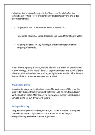 Stripping is the process of removing the fibres from the stalk after the
completion of retting. Fibres are removed from the stalk by any one of the
following methods:
 Single plants are taken and their fibers are taken off.
 Taken off a handfulof stalks, breaking it in a to and fro motion in water.
 Washing the stalks firstby standing in waistdeep water and then
stripping afterwards.
When there is a plenty of water, bundles of stalks are laid in the pond ditches
or slow moving streams and left for 5-15 days under water. The bunch of stem
is held in one hand and the rootend tapped lightly with a mallet. After loosens
the restof fibres, fibres are extracted and washed.
Washing and Drying
Extracted fibres arewashed in clean water. The dark colour of fibres can be
removed by dipping them in tamarind water for 15 to 20 minutes and again
washed in clean water. After squeezing excess water the fibres are hang on
bamboo railing for sun drying for 2-3 days.
Bailing and Packing
The jute fibre is graded into tops, middles, B, C and X-bottoms. Packing into
Kutcha bales about250 pounds for use in the home trade. they are
transported to jute market or direct to jute mills.
 