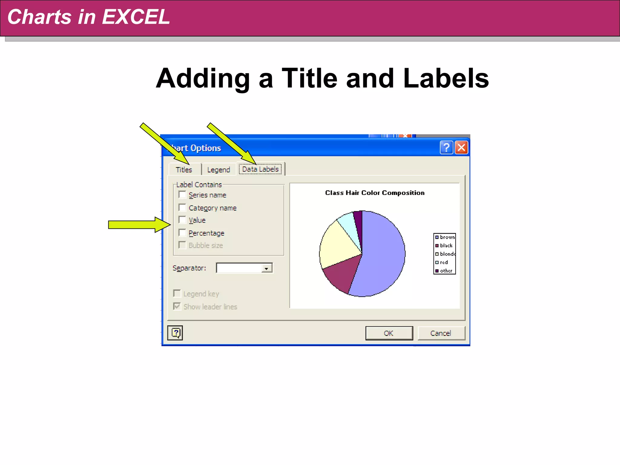 Adding a Title and Labels Charts in EXCEL 