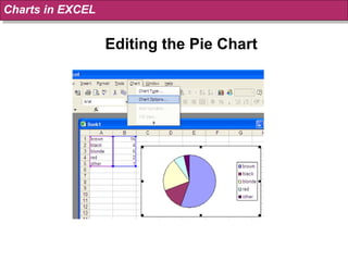 Editing the Pie Chart Charts in EXCEL 