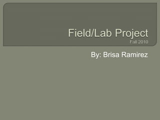 Field/Lab ProjectFall 2010 By: Brisa Ramirez 