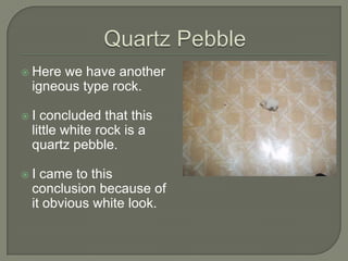 Quartz PebbleHere we have another igneous type rock.I concluded that this little white rock is a quartz pebble.I came to this conclusion because of it obvious white look.
