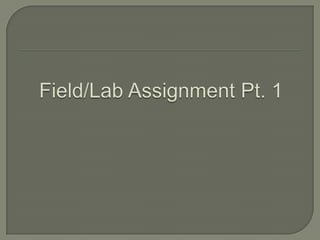 Field/Lab Assignment Pt. 1